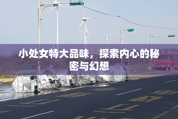 小处女特大品味，探索内心的秘密与幻想