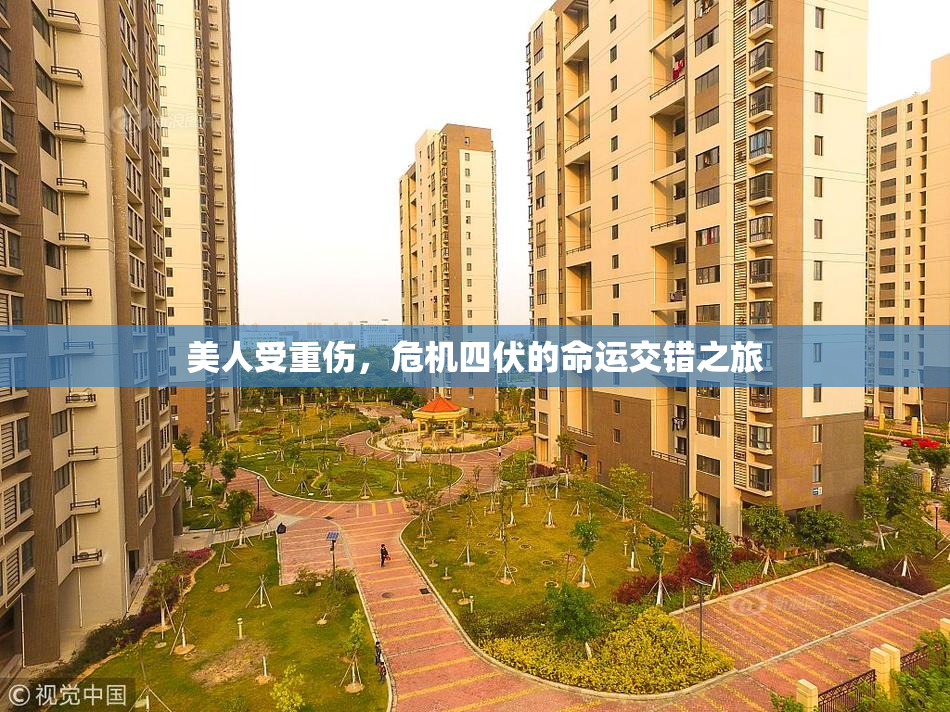美人受重伤，危机四伏的命运交错之旅