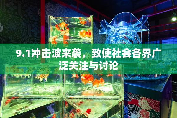 9.1冲击波来袭，致使社会各界广泛关注与讨论