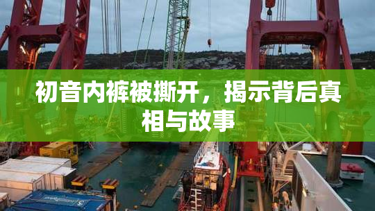 初音内裤被撕开，揭示背后真相与故事