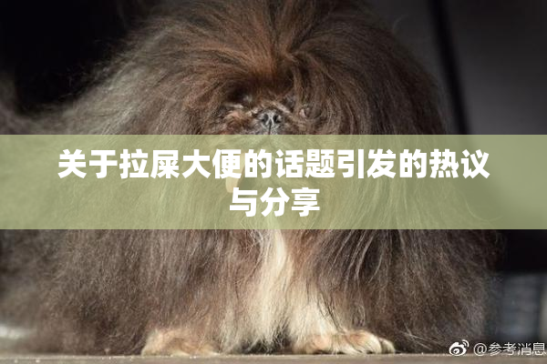 关于拉屎大便的话题引发的热议与分享