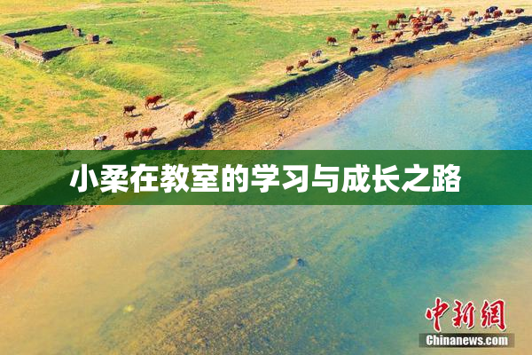 小柔在教室的学习与成长之路