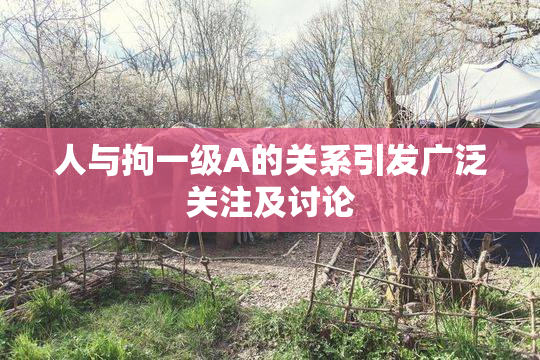 人与拘一级A的关系引发广泛关注及讨论