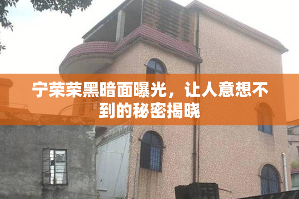 宁荣荣黑暗面曝光，让人意想不到的秘密揭晓