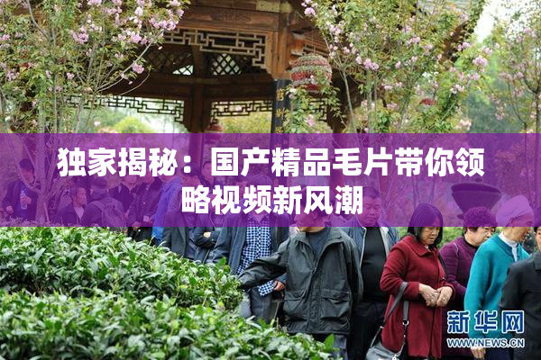 独家揭秘：国产精品毛片带你领略视频新风潮
