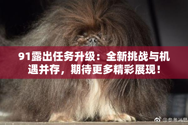 91露出任务升级：全新挑战与机遇并存，期待更多精彩展现！