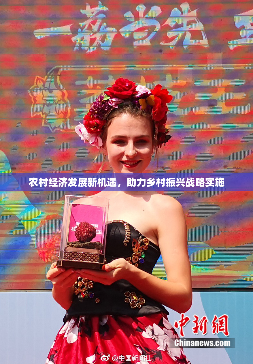 农村经济发展新机遇，助力乡村振兴战略实施