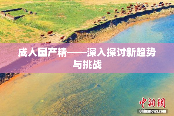 成人国产精——深入探讨新趋势与挑战
