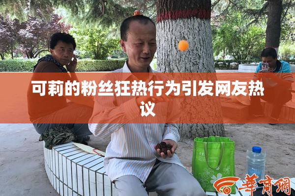 可莉的粉丝狂热行为引发网友热议