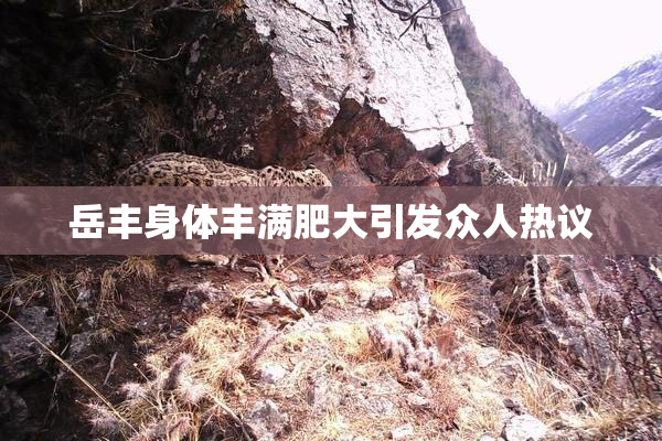 岳丰身体丰满肥大引发众人热议