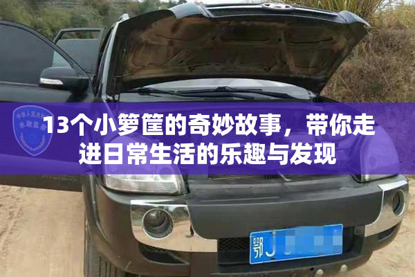 13个小箩筐的奇妙故事，带你走进日常生活的乐趣与发现