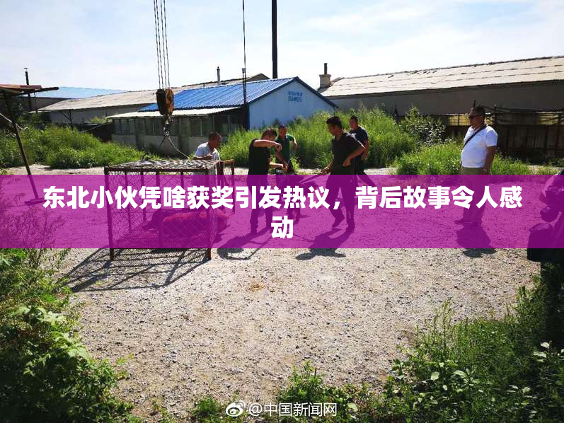 东北小伙凭啥获奖引发热议，背后故事令人感动