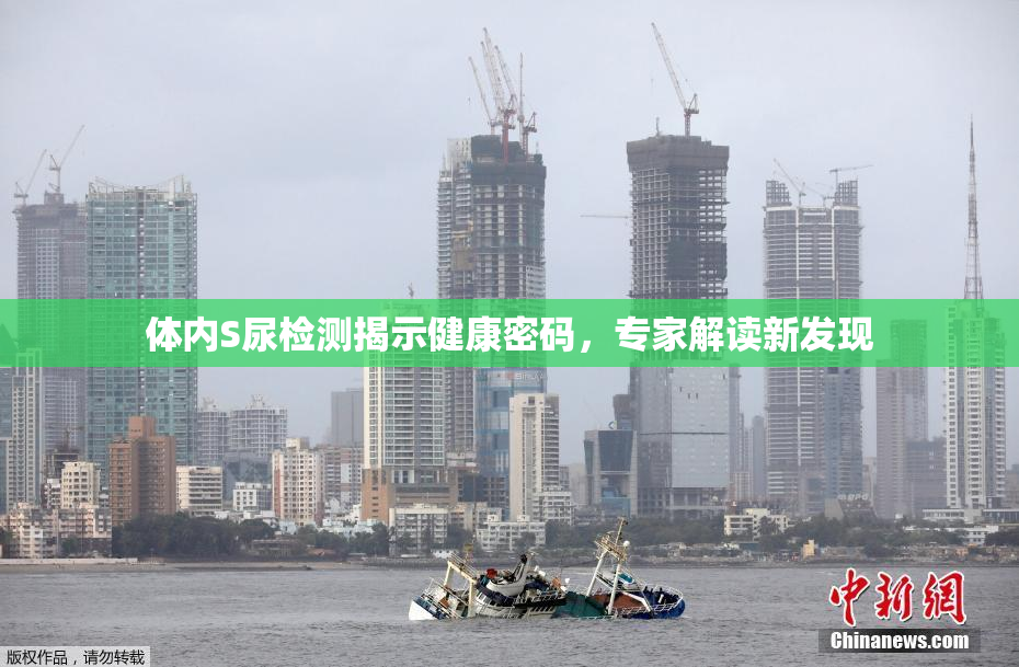 体内S尿检测揭示健康密码，专家解读新发现