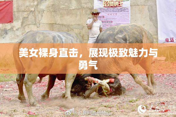 美女裸身直击，展现极致魅力与勇气