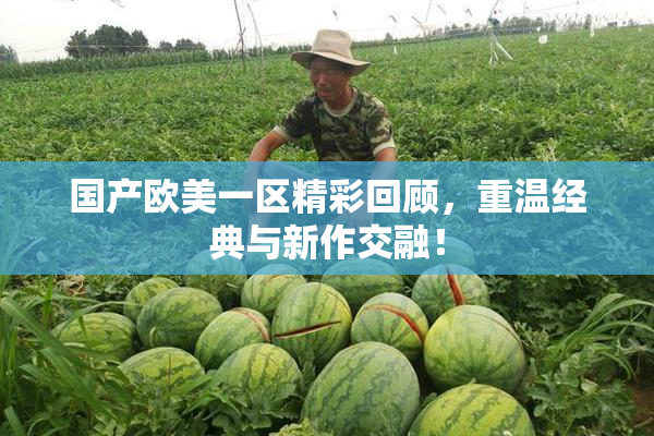 国产欧美一区精彩回顾，重温经典与新作交融！