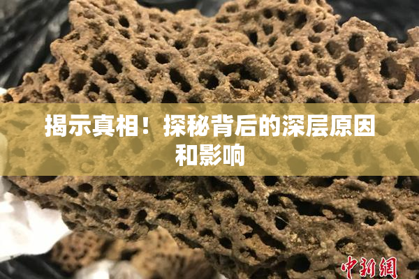 揭示真相！探秘背后的深层原因和影响