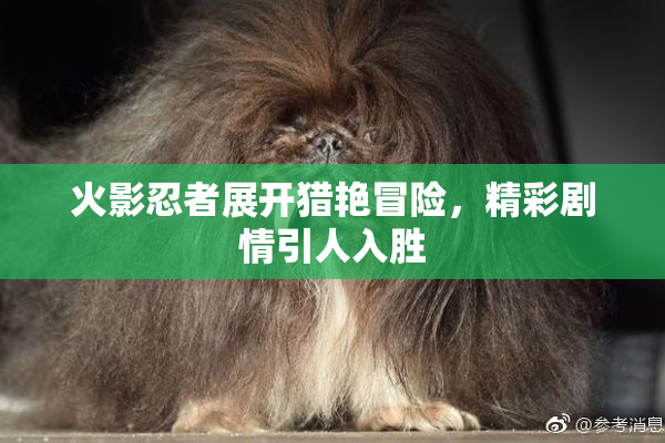 火影忍者展开猎艳冒险，精彩剧情引人入胜