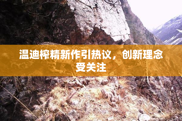 温迪榨精新作引热议，创新理念受关注