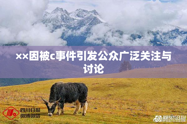 ××因被c事件引发公众广泛关注与讨论