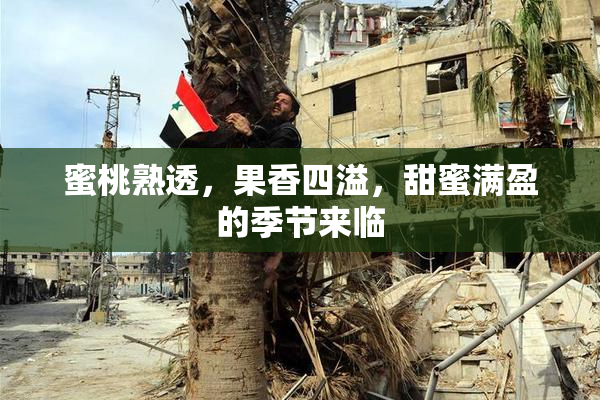 蜜桃熟透，果香四溢，甜蜜满盈的季节来临