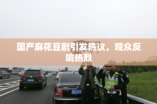 国产麻花豆剧引发热议，观众反响热烈