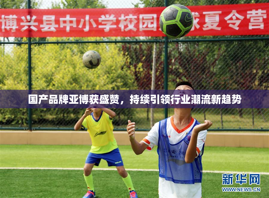 国产品牌亚博获盛赞，持续引领行业潮流新趋势
