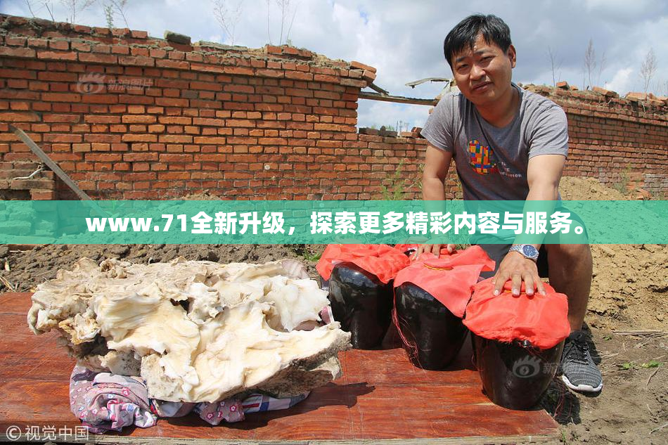 www.71全新升级，探索更多精彩内容与服务。