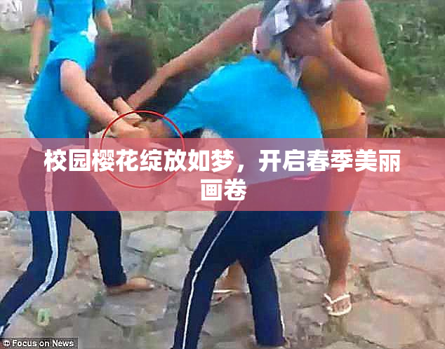 校园樱花绽放如梦，开启春季美丽画卷