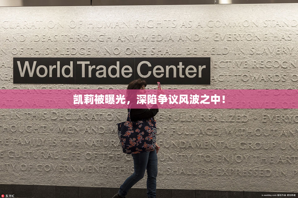 凯莉被曝光，深陷争议风波之中！